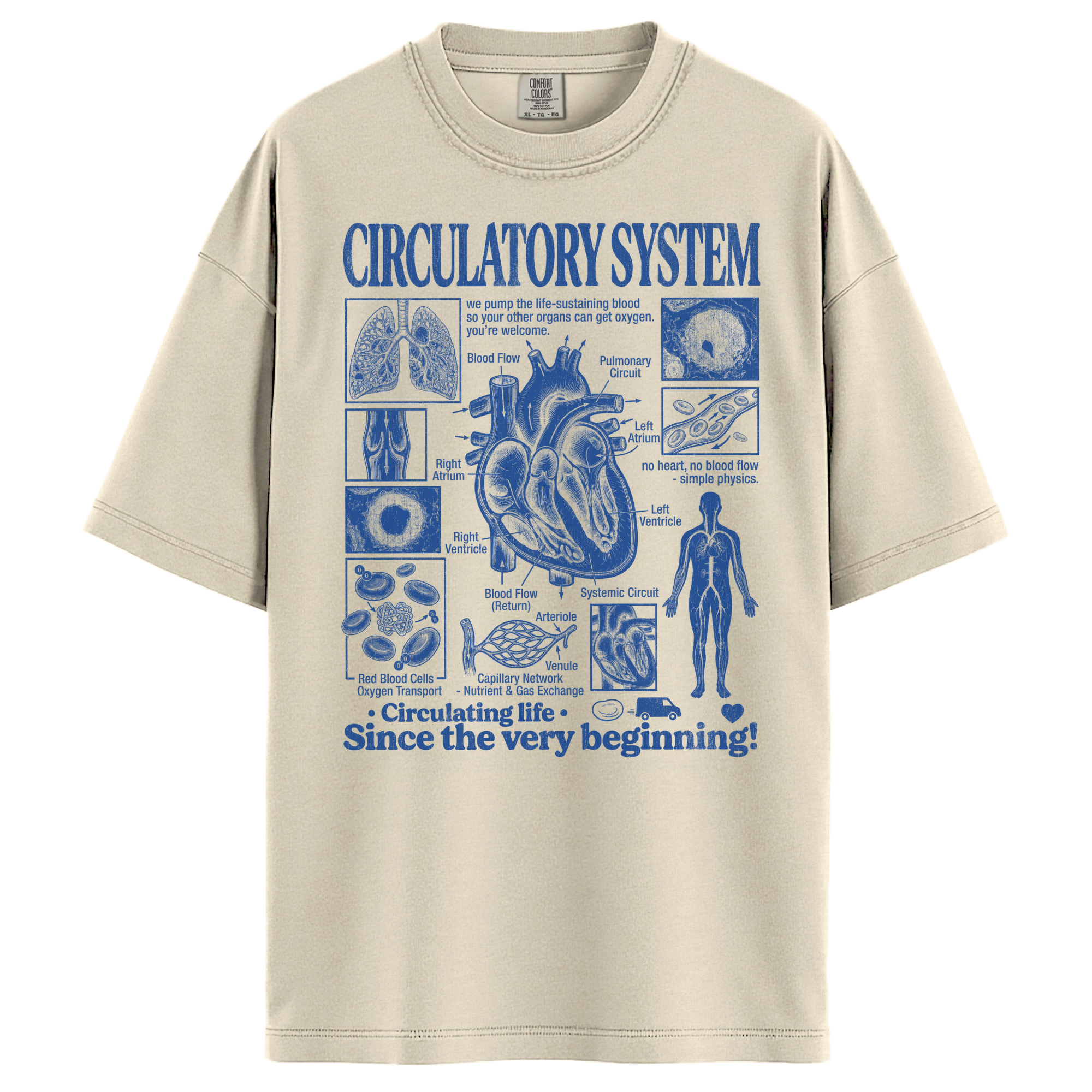 Circulatory System Anatomy Biology Teacher Vintage Unisex T-Shirt Main image