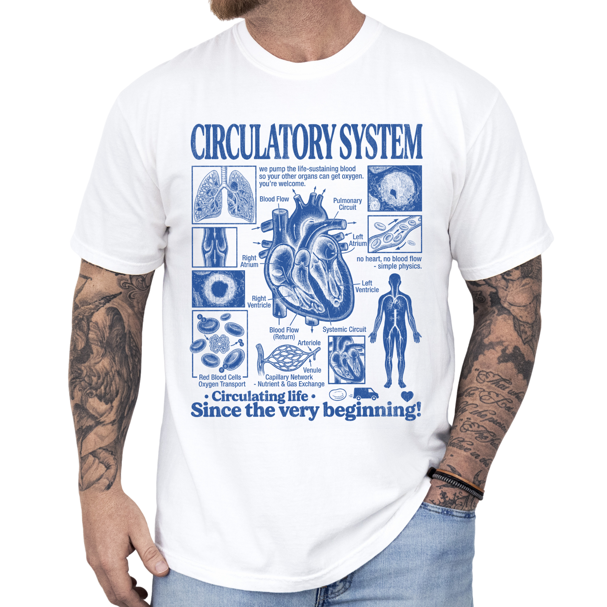Circulatory System Anatomy Biology Teacher Vintage Unisex T-Shirt