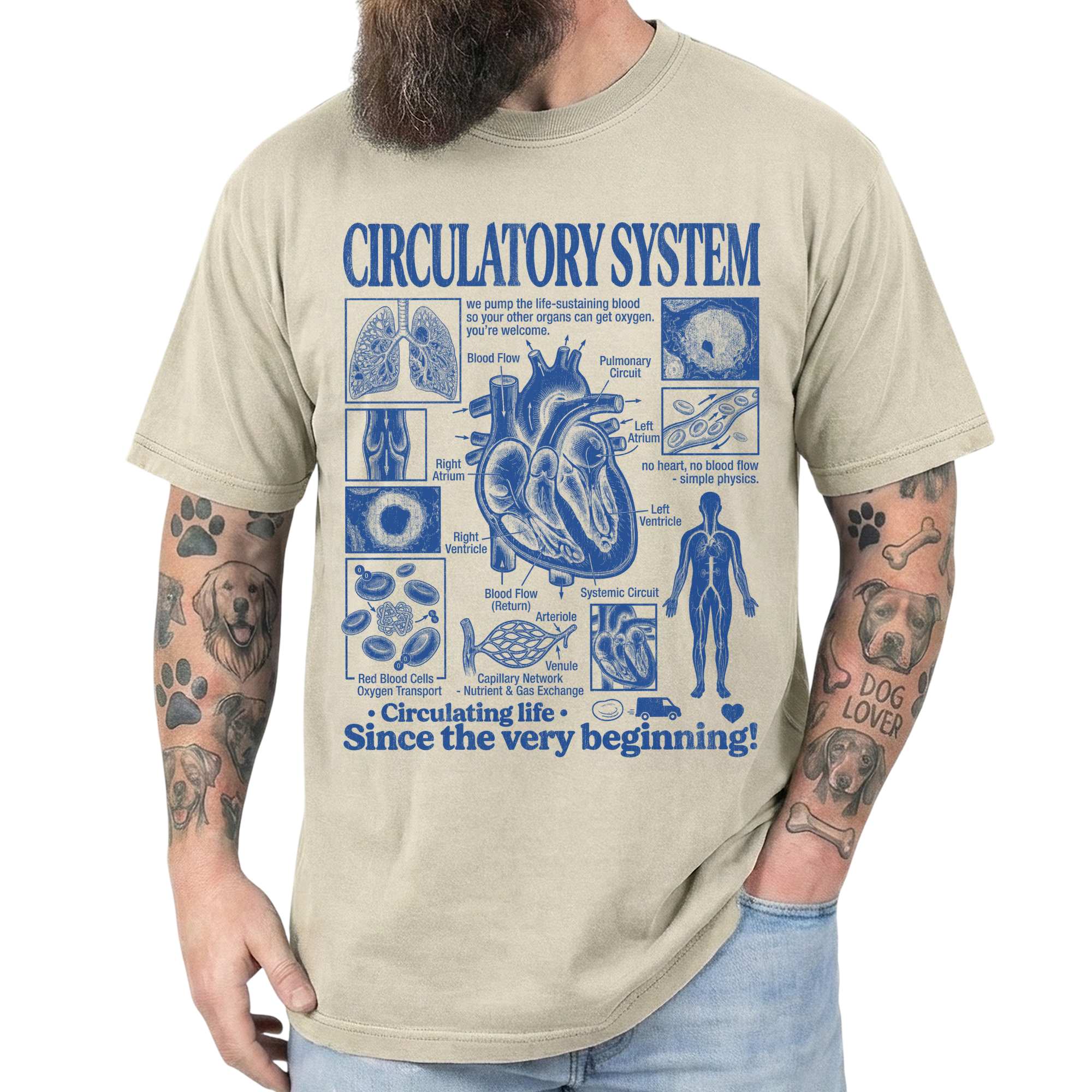 Circulatory System Anatomy Biology Teacher Vintage Unisex T-Shirt